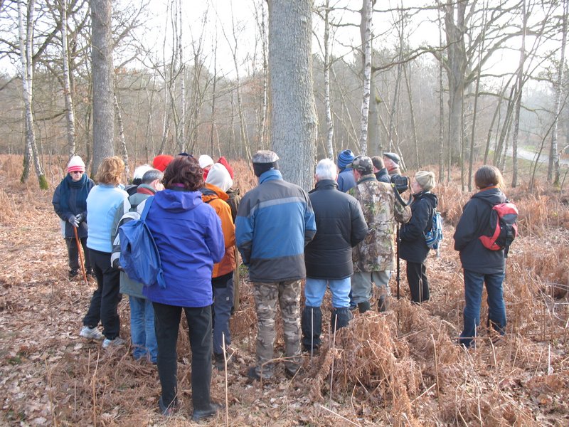 Lichens forestiers 3.3.2013 004